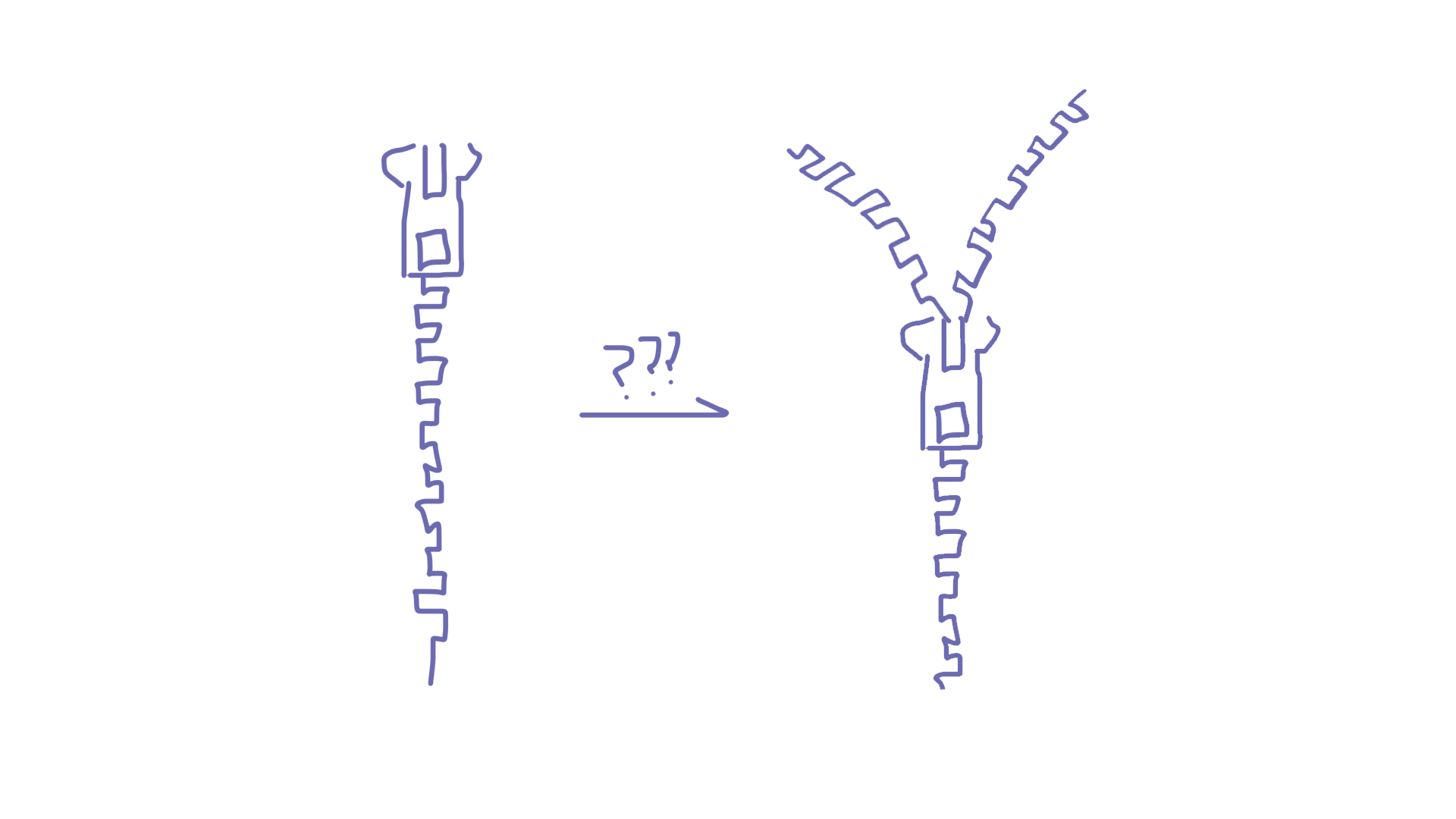 A crude illustration of a jacket zipper