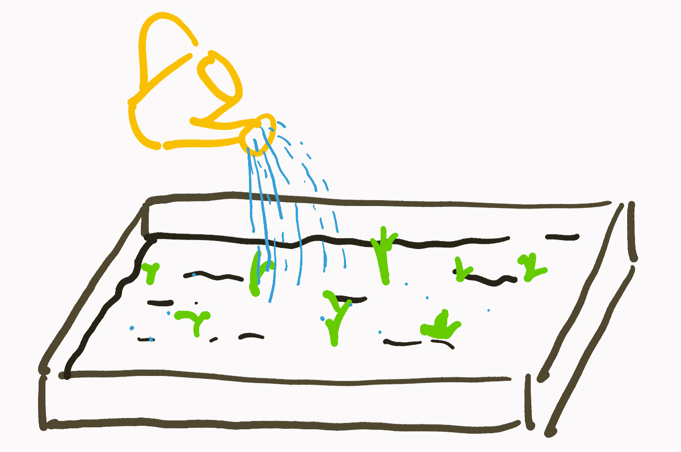 Watering the plants