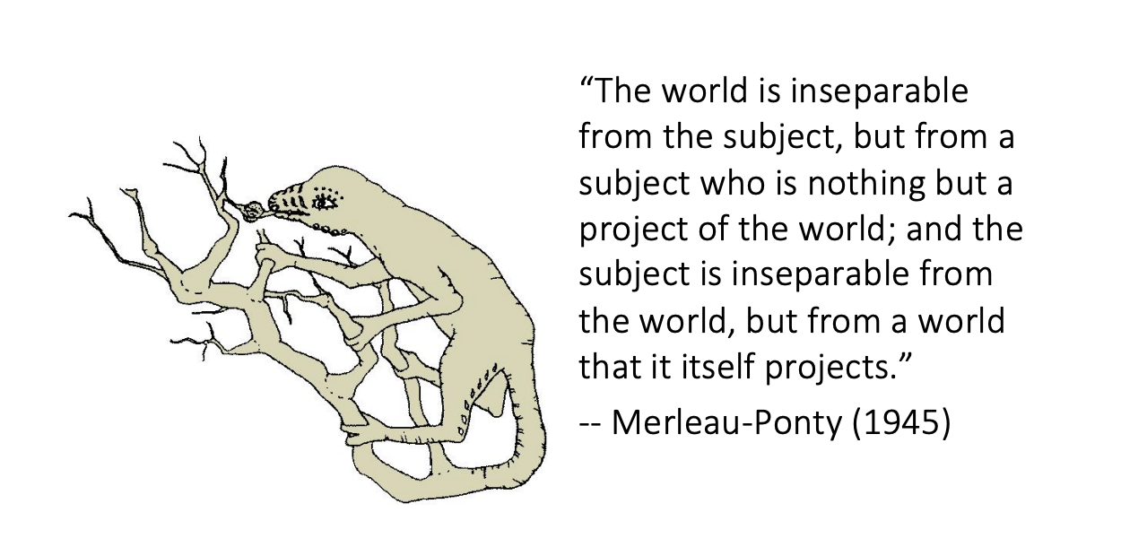 Merleau-Ponty on the world and consciousness